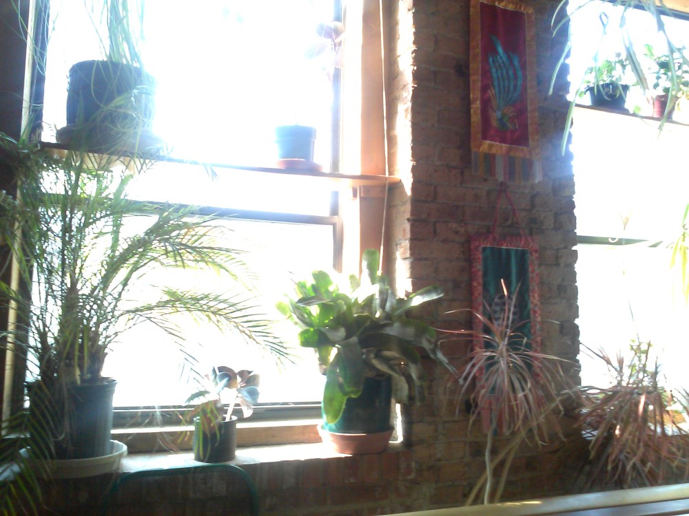 Chapter 2: Juana, meet Yoga Circle. Yoga Circle, meet Juana. “Pleasure to meet you…”