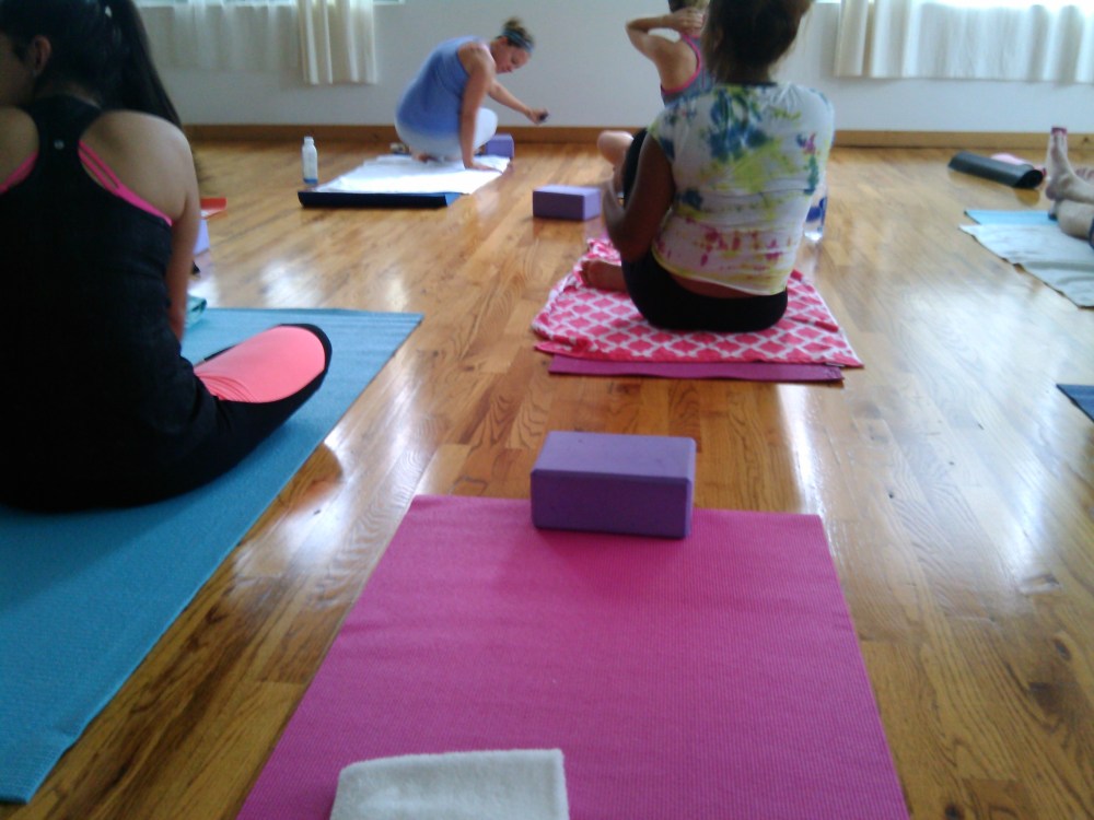 Chapter 3: Yoga, in the name of Social Change.