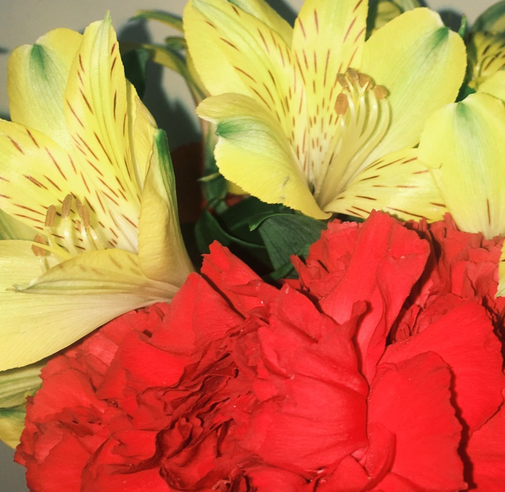 “Todo Llegara a Su Tiempo” Vol. 2 (poetry series)